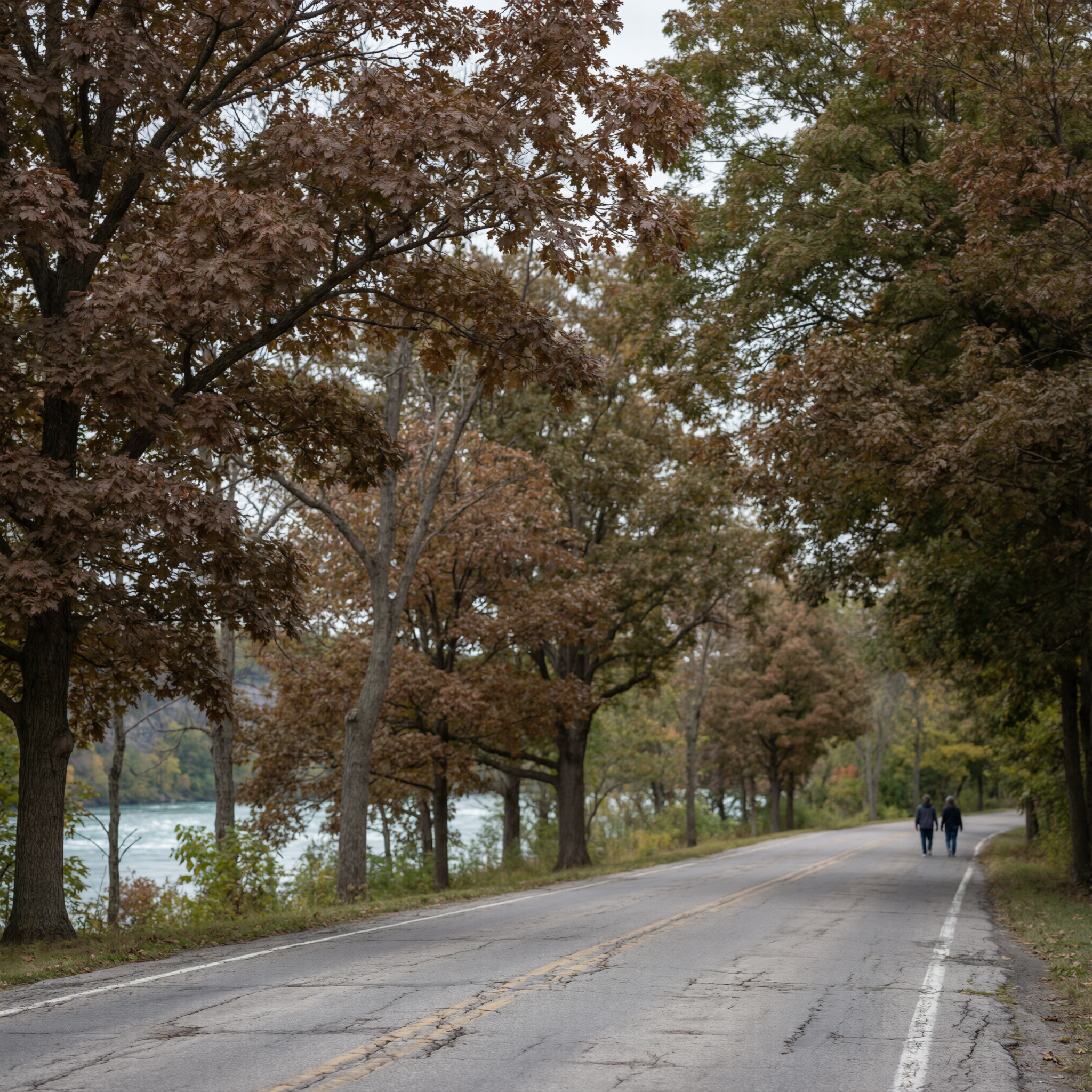 Tree-lined road along the Niagara River with autumn foliage, two pedestrians walking in the distance, and calm water visible through the trees on the left side
