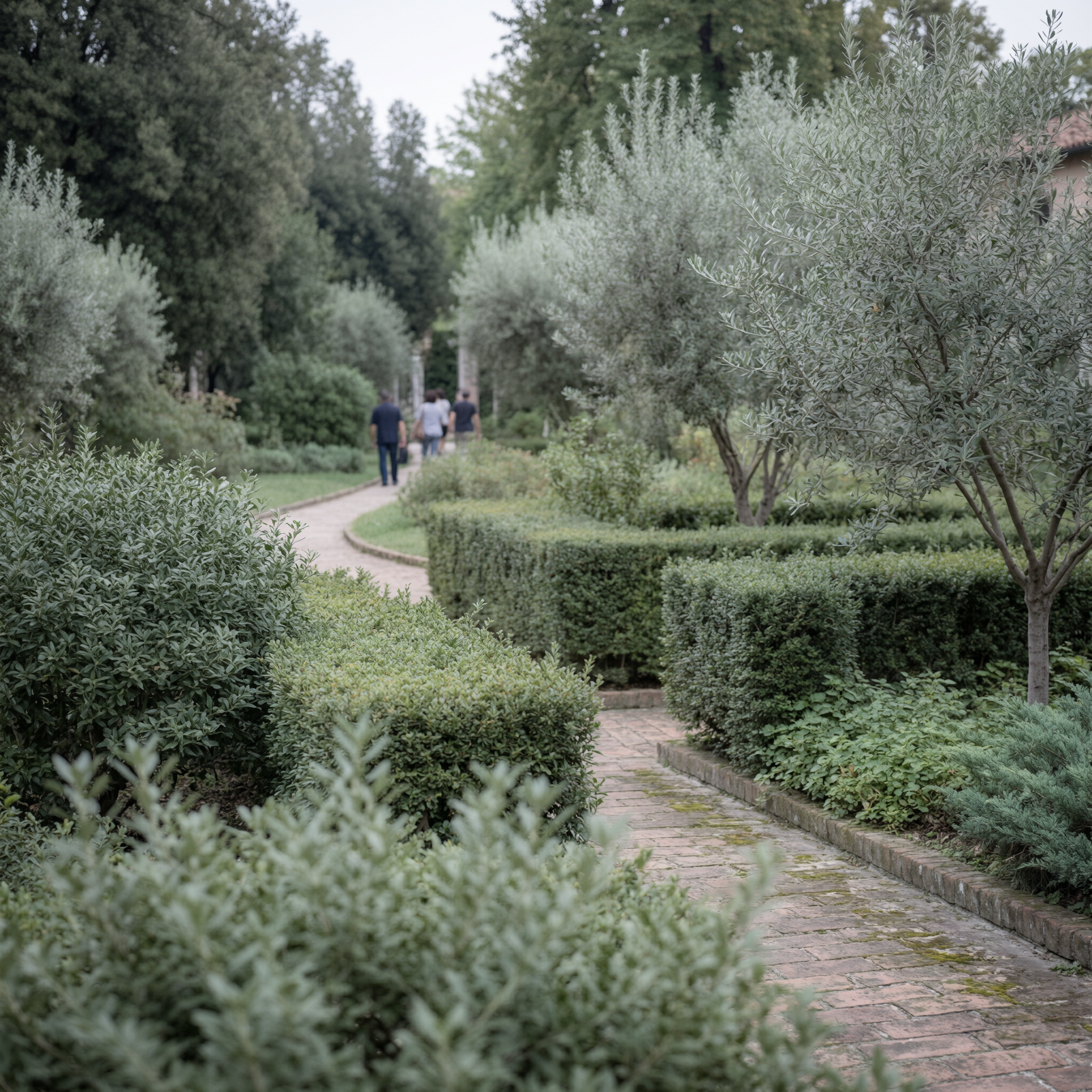 A historic brick pathway winds through the Orto Botanico di Padova botanical garden, lined with olive trees and hedges, with visitors strolling in the distance