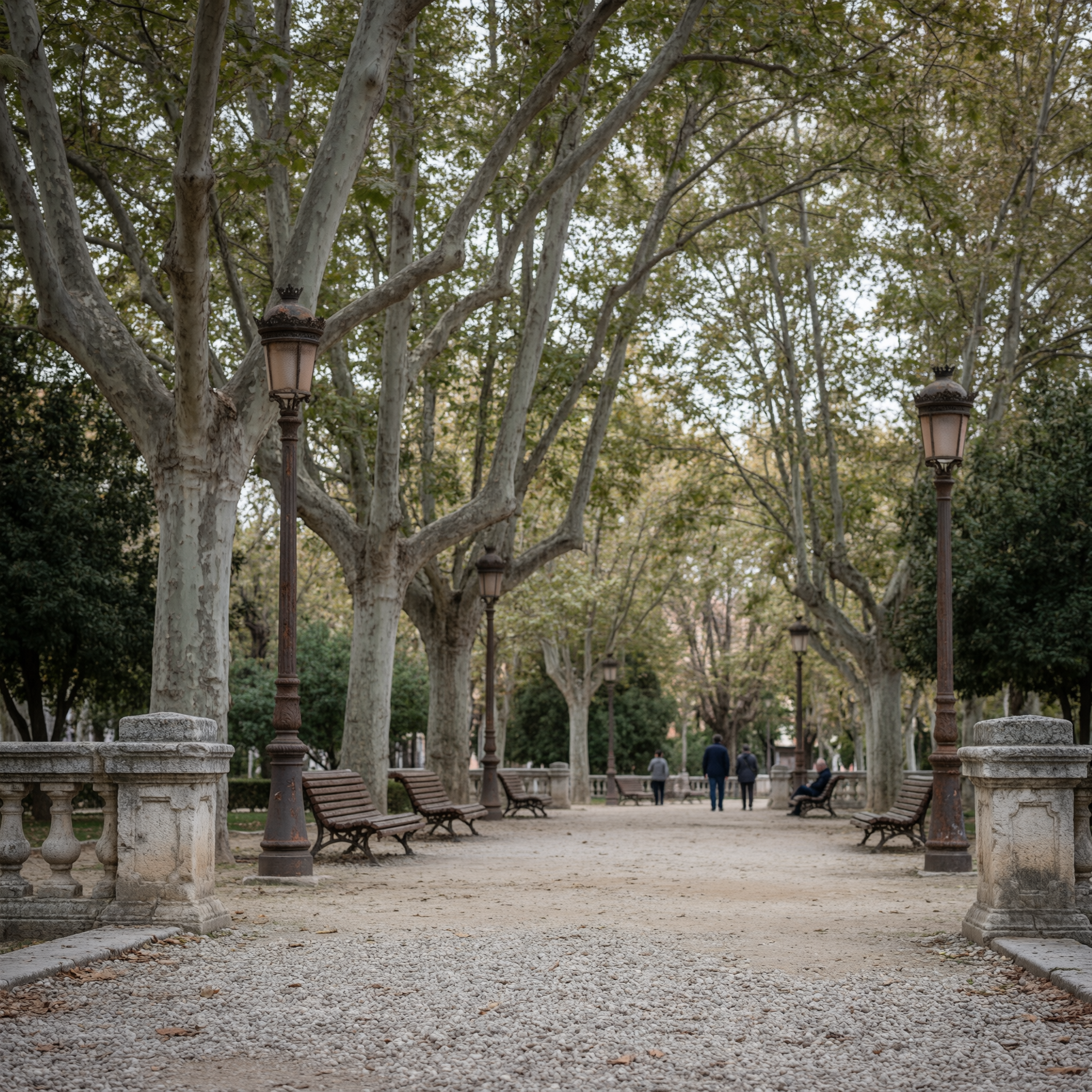 Tree-lined promenade in Campo Grande Park with tall plane trees, vintage street lamps, stone pedestals, and benches in Valladolid, Spain